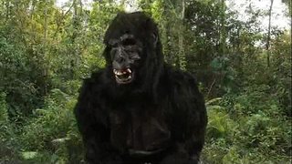 Король Дон&amp;#039;ћ 40oz отказов!